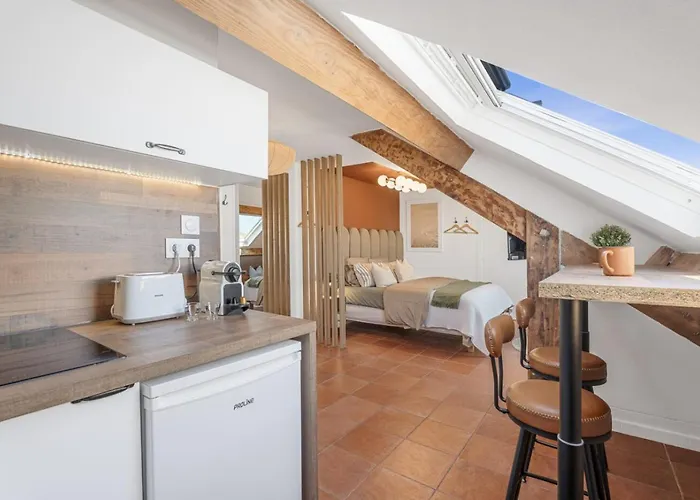 Apartment Sous Les Toits, Centre *