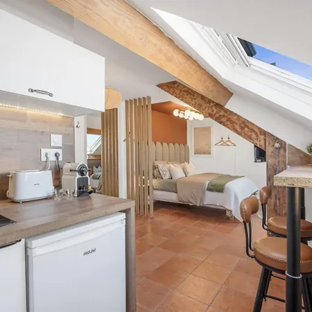 公寓 Sous Les Toits, Centre *